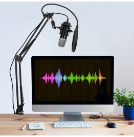 GUDEHOLO USB Microphone for Computer with Adjustment Arm Stand, Mute Button, USB Mic for Gaming, Podcast, Live Streaming, YouTube on PC, Fits for Windows &amp; PC, not for Phone